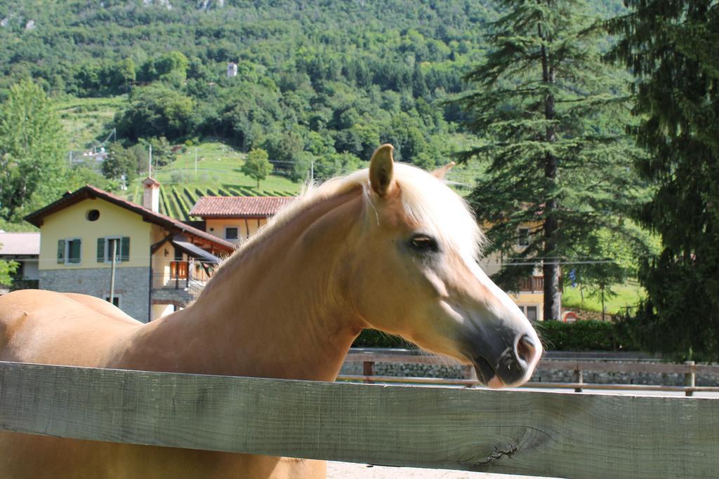Country House Ramandolo Club Nimis Экстерьер фото